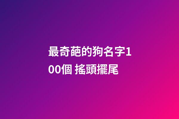 最奇葩的狗名字100個 搖頭擺尾